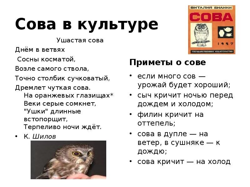 Бианки сова текст. Стих про сову. Сова для презентации. Стишок про совенка. Сова в культуре.