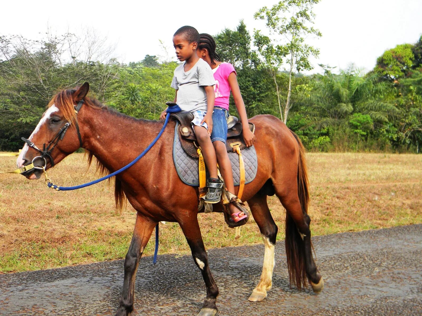 Riding around. Horse and Kids. Kid Ride Horse. Horse Kiddie Ride. Horse riding Kids.