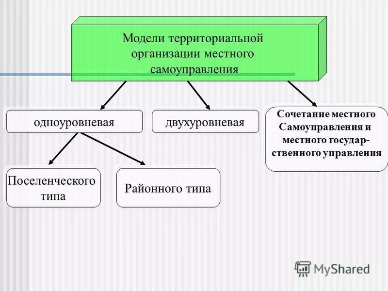 Термин орган местного самоуправления