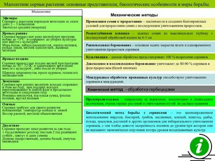 Биологические группы сорняков