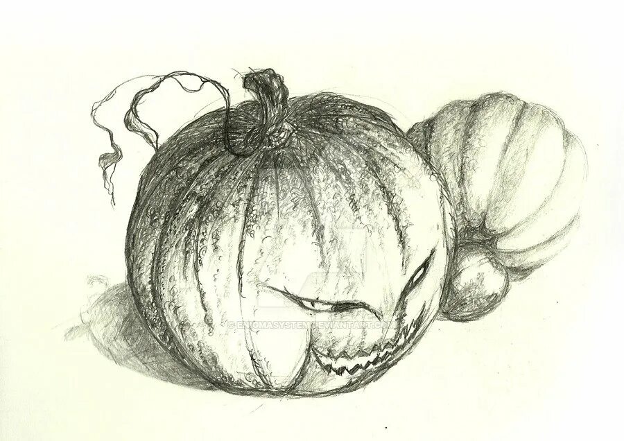Натюрморт с тыквой. Впр 4 класс русский язык задания. Тыква витамины. Рисование тыквы. Тыква бахчевая культура.