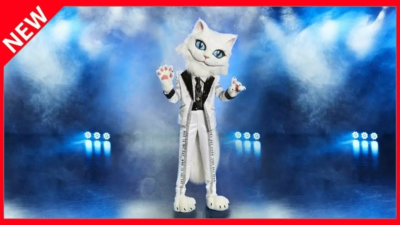 Eine neue. The masked Singer Cat. Маскед Сингер реддит.