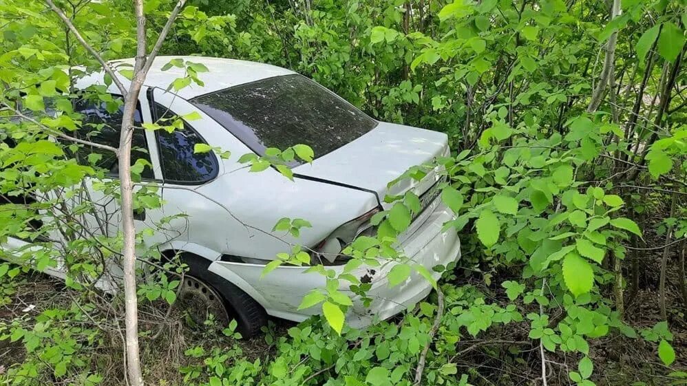 Происшествие димитровграде три сосны. Три сосны Димитровград авария на Свирской улице. Три сосны Димитровград новости.