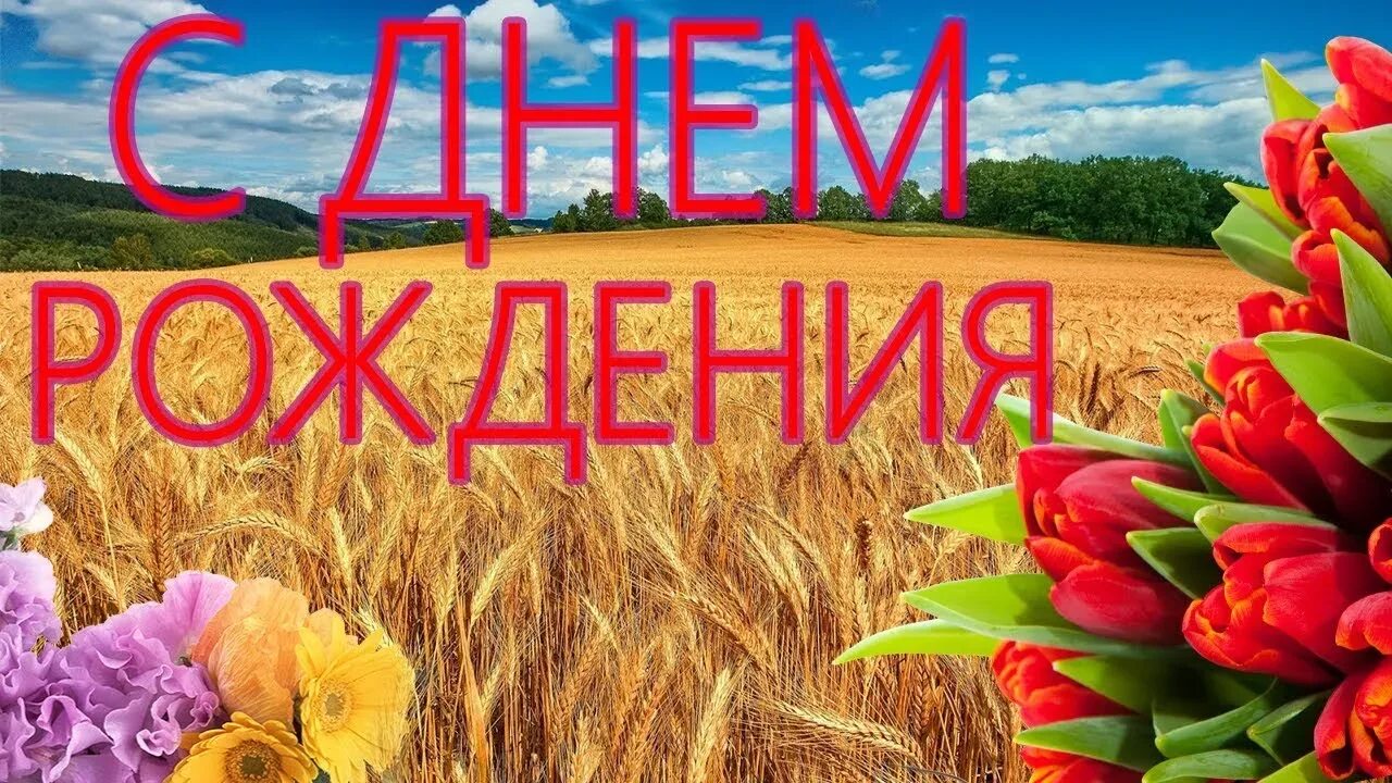 Дата рождения 5 августа. С днем рождения в августе. поздравление с днем рождения в августе. открытки родившимся в августе. поздравляем именинников августа с днем рождения.