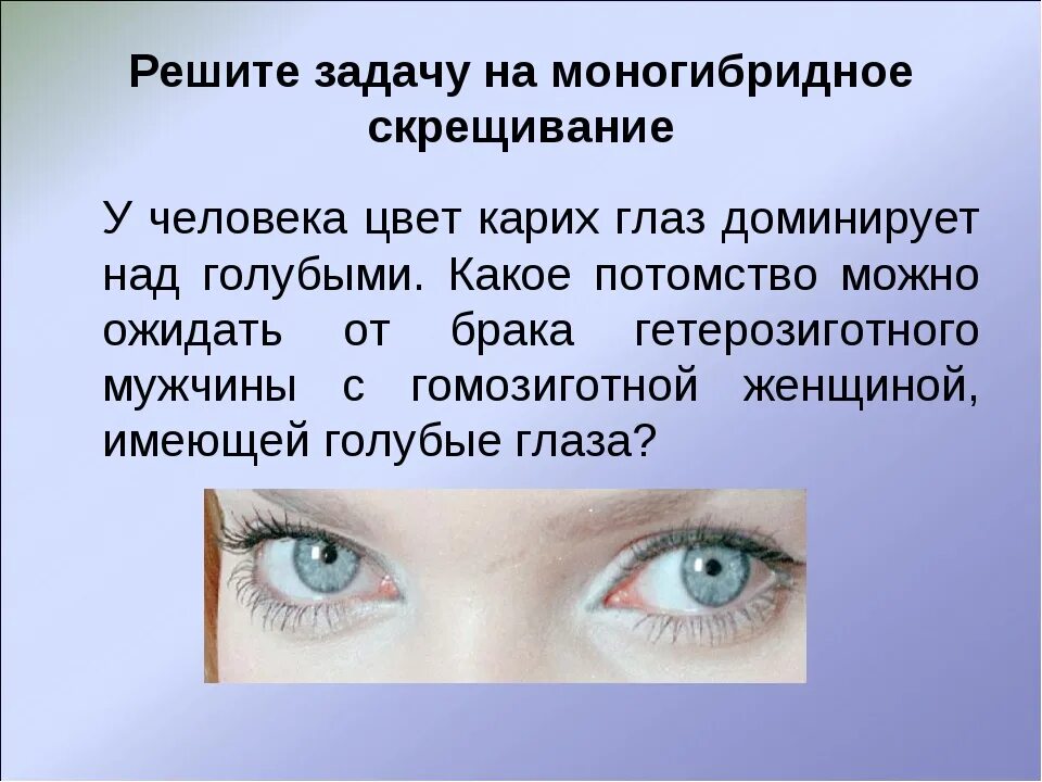 Цвет глаза зависит от пигмента. Доминантный цвет глаз. Наследование цвета глаз. Наследственный цвет глаз. Генетика глаз цвет глаз.