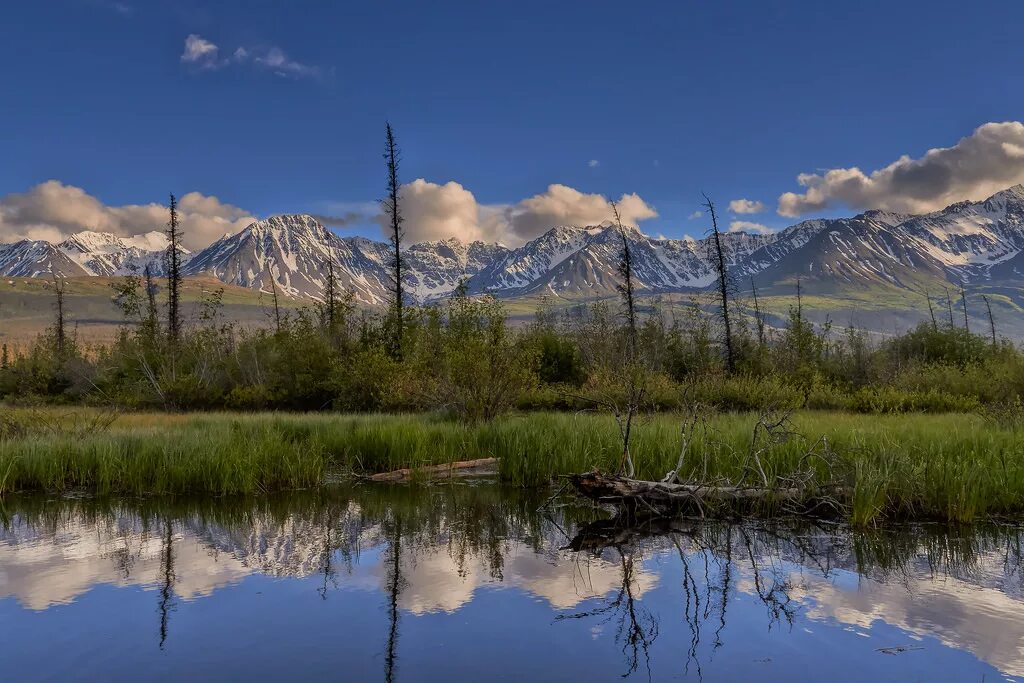 Клуэйн национальный парк. Клуэйн ЮНЕСКО. Клуэйн Юкон. Canada Kluane National Park. Канадские аляски