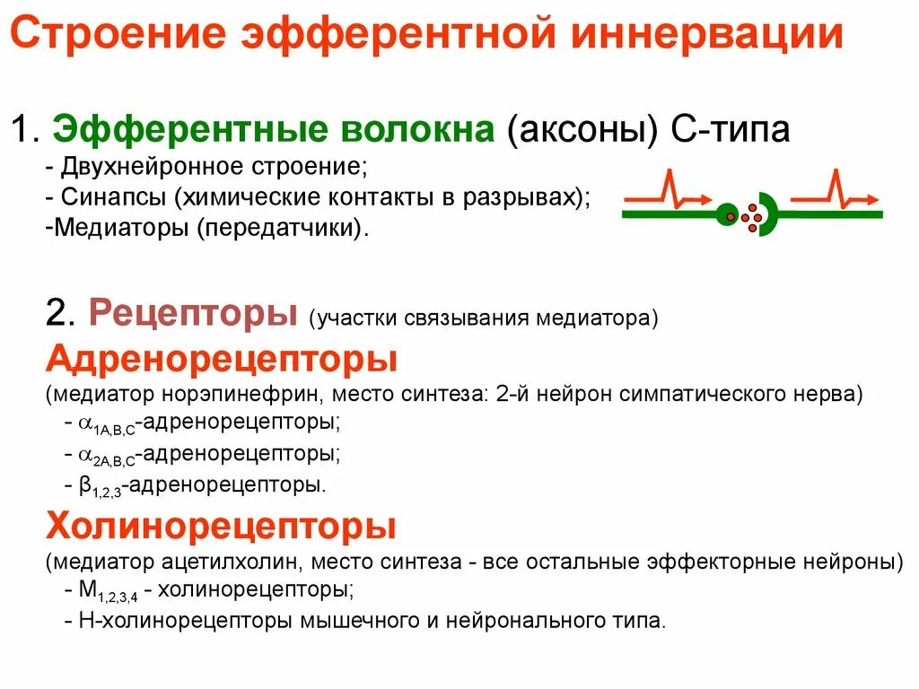 Холинорецепторы мышц. Холинорецепторы мышц. Холинорецепторы мышц. Холинорецепторы. М4 холинорецепторы функции.