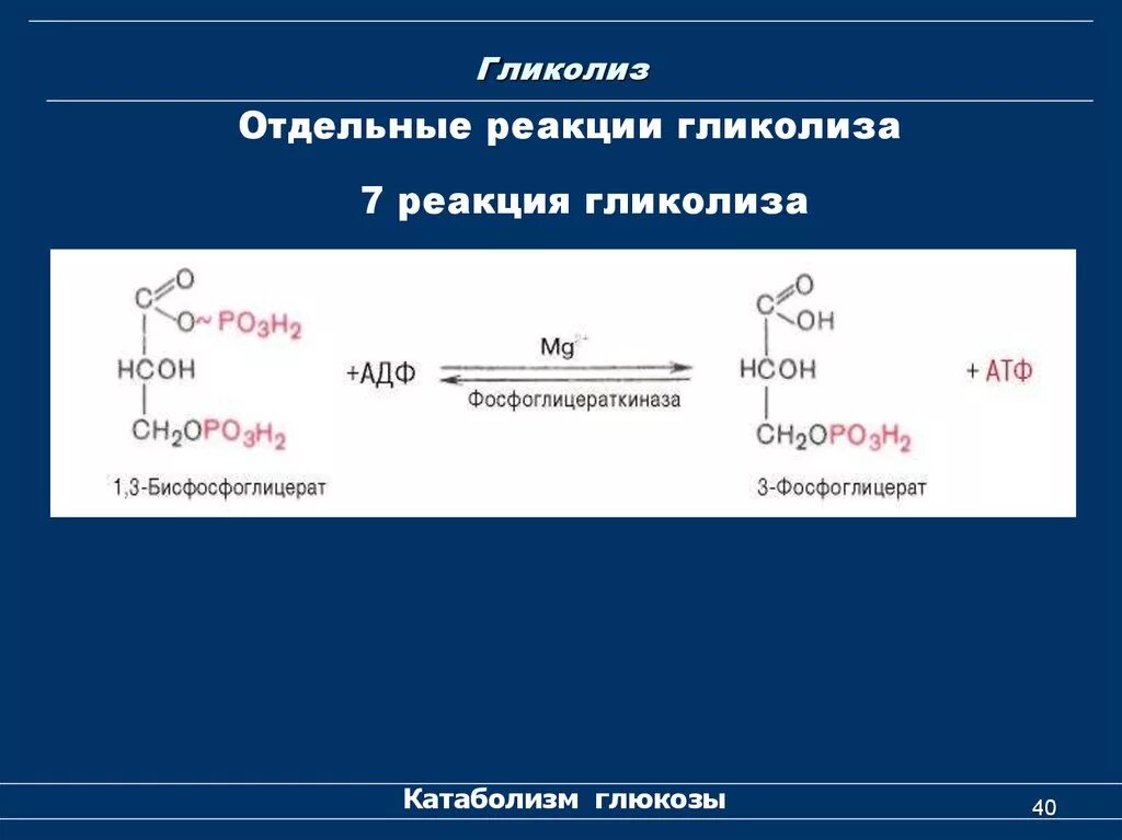 Образование атф гликолиз. 11 Реакция анаэробного гликолиза. Реакции гликолиза с образованием АТФ. Гликолиз реакции с АТФ. Необратимые реакции гликолиза биохимия.