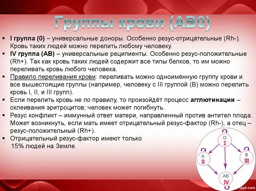 Ав0 группа крови и резус-фактор. Группы крови человека. Система ав0. Резус-фактор.. Ав0 группа крови. Универсальный донор группа крови. Форум резус отрицательных