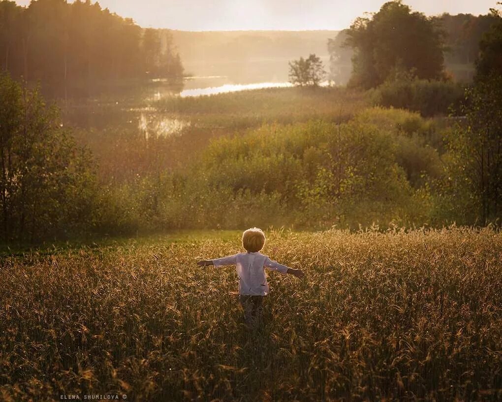 рассвет летом. рассвет летом. уходит лето в деревне. желтые деревенские цветы. уходит лето в деревне.