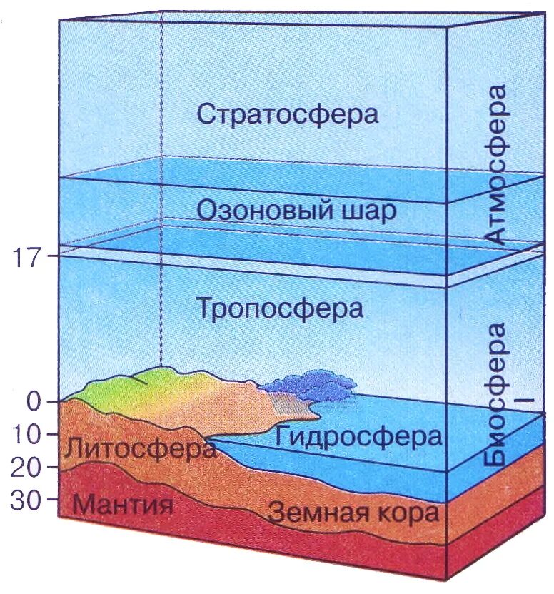 Какие факторы ограничивают жизнь в литосфере