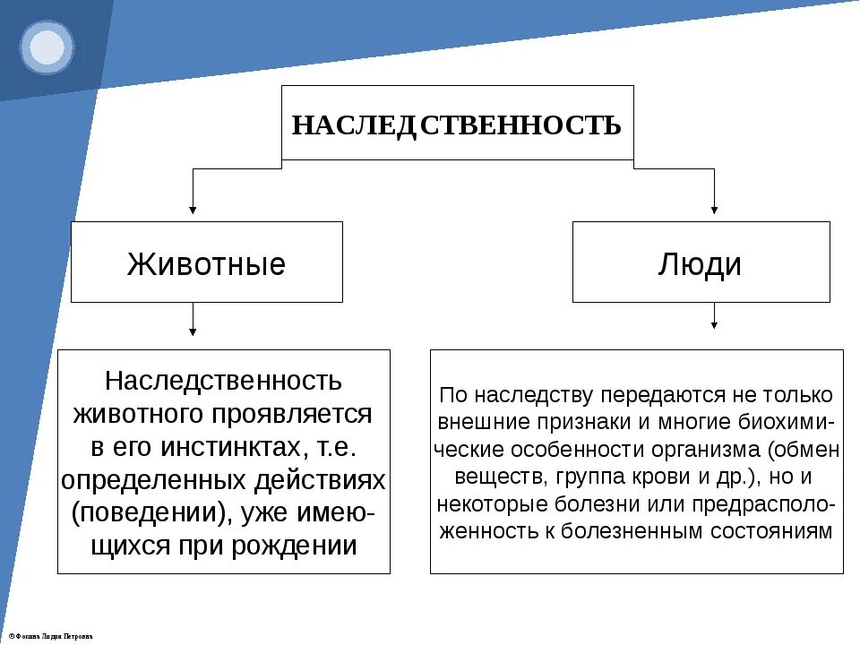 Наследственность человека. Наследственность это в обществознании. Наследственные качества человека. Наследственные признаки передаются. Поджаришь наследуемый пересилишь