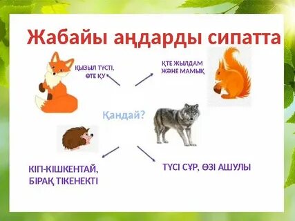 Интернетте Катя Самбуканың қатысуымен порно видеолар