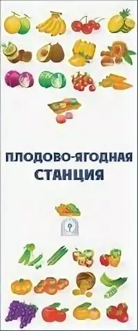 Дорога по улице стасова. Плодовая станция. Плодово-ягодный красноярск. Плодовая станция. Станция ягодная самара.