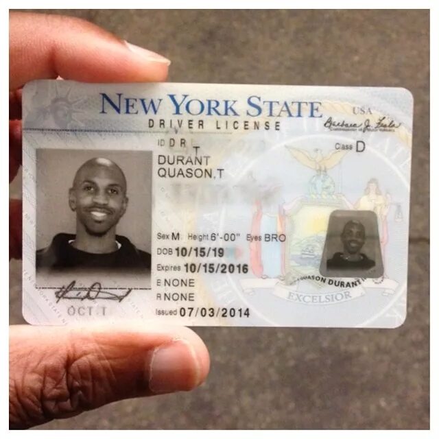 Licensing new. New York Driver License. New York Driver License New.