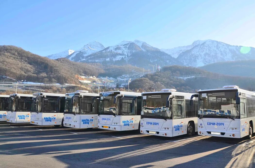 Общественный транспорт сочи. Сочинский автобус лиаз. Сочи автотранспорт. Пробка машин. Автобус маз в сочи.