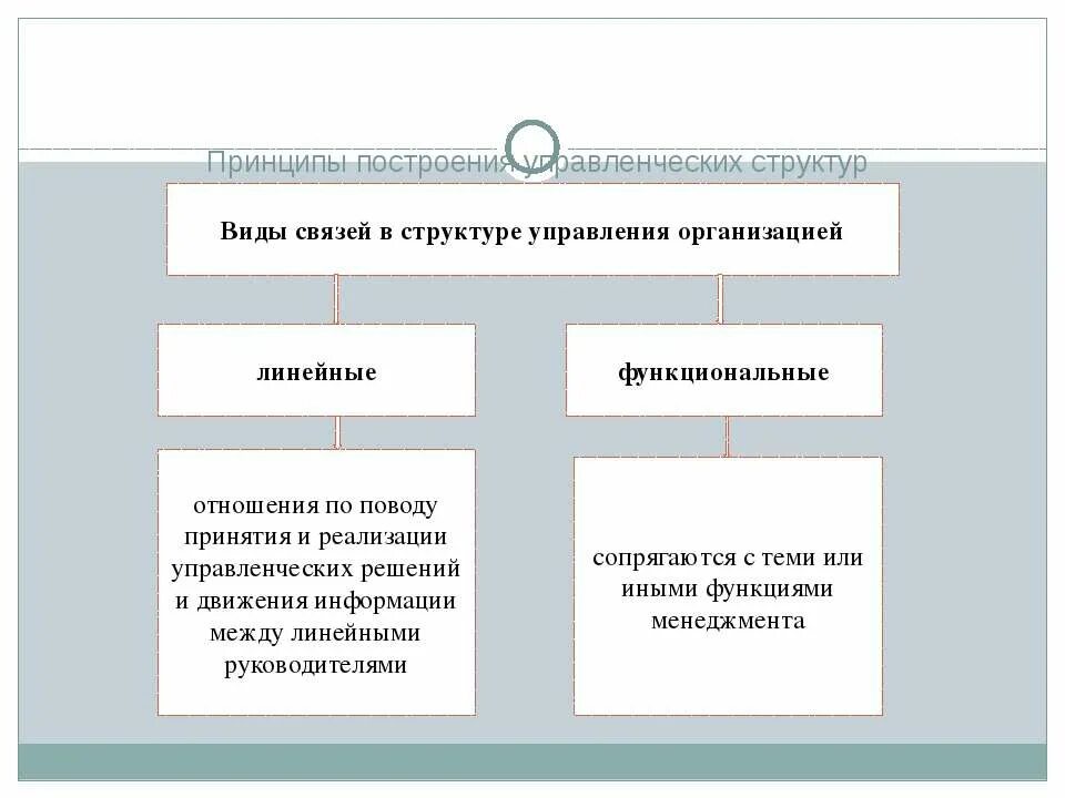 Тип связи структура связи. Линейный принцип построения организационных структур. Линейные звенья в организационной структуре управления. Горизонтальные связи в структуре управления организацией.