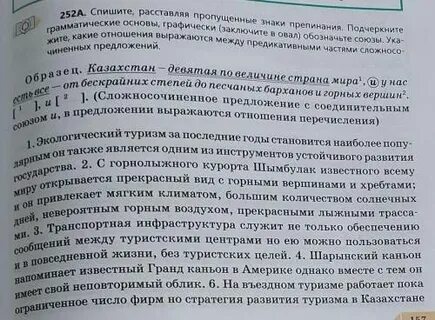 Спишите подчеркивая грамматические основы заключая в овал