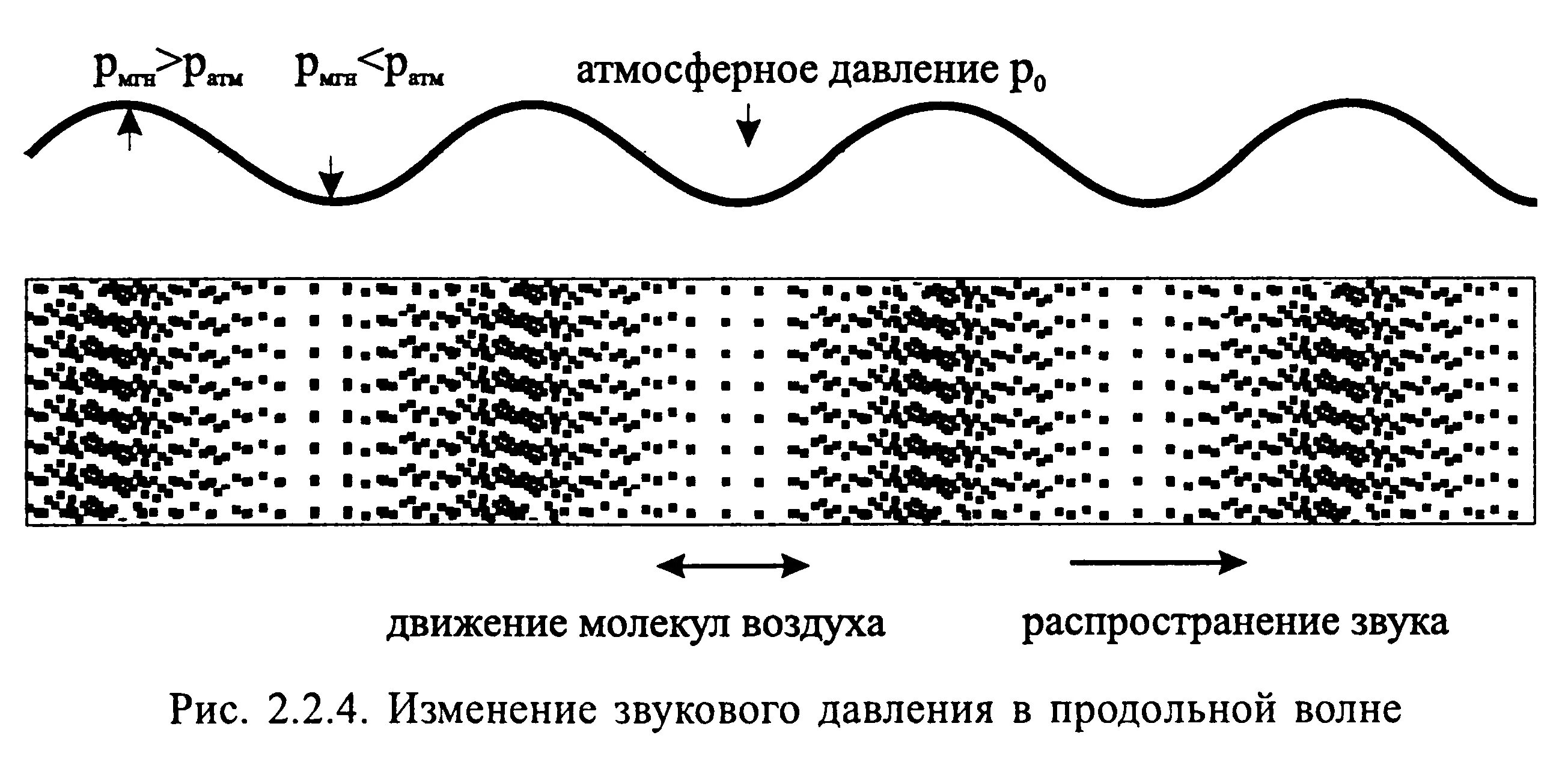 Продольные ультразвуковые волны. Звуковая волна схема. Продольные звуковые волны. Схема распространения звука. Распространение акустических волн схема.