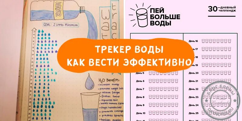 Советы Healthy recipes, Health, Health fitness