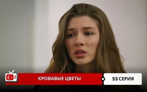 Кровавые цветы турецкий 53