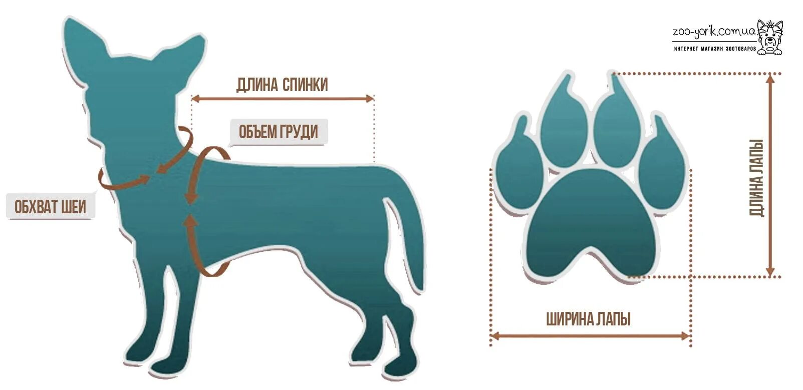 Как сделать лапы собаке. Мерки собаки. Замеры собаки для одежды. Размеры одежды для собак. Как измерить размер собаки.