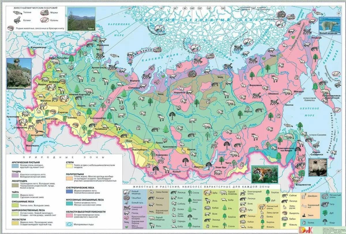 Природно хозяйственные зоны россии на карте цдз