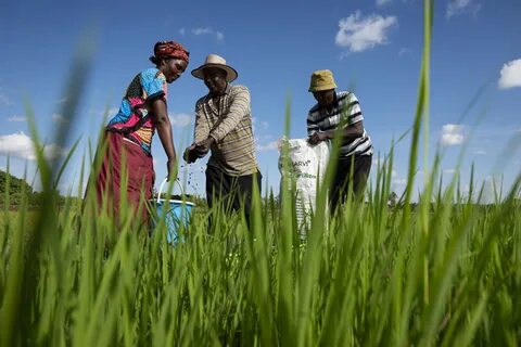 Most of africa s rural