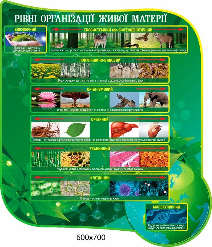 Лазерный уровень т-12 7088 stand. Уровни стендов. Уровни стендов. Левела в стандофф 2. Для демонстрации шин.