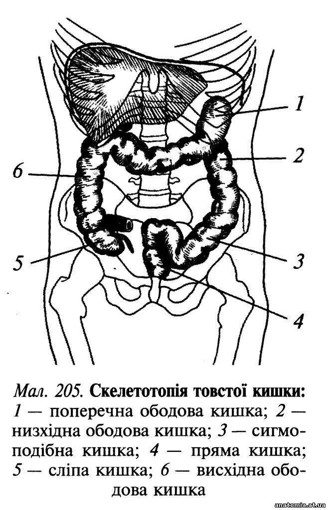 Где находится сигма