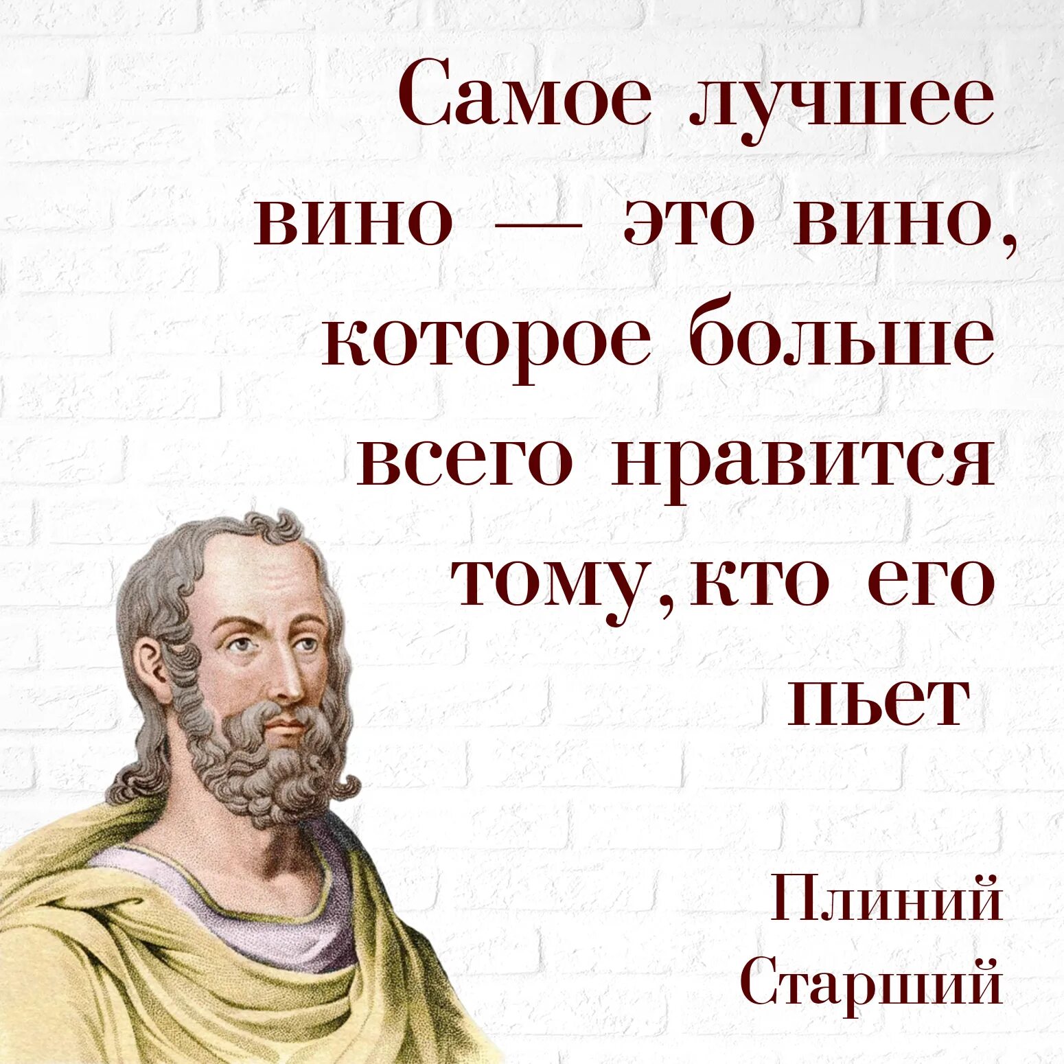 Фразы о вине. Высказывания о вине. Цитаты великих о вине. Высказывания о вине великих. Высказывания про вино.