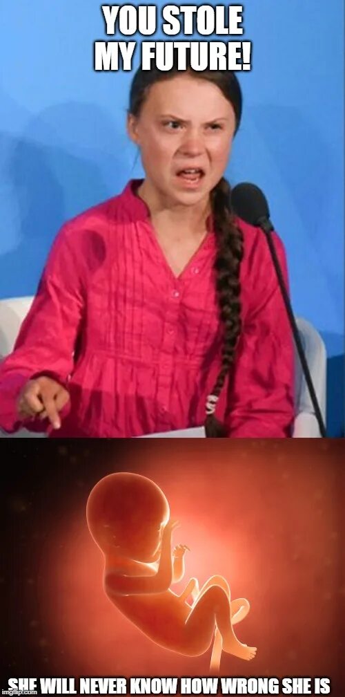 She is wrong. Грета Тунберг how Dare you.