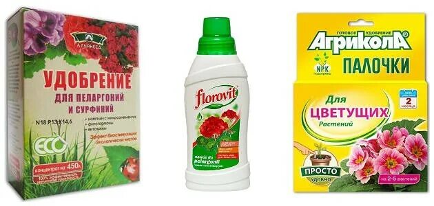 Чем подкормить пеларгонию для пышного цветения. Подкормка пеларгонии. удобрение для пеларгонии для цветения. удобрение для герани для обильного цветения. удобрение для цветущих гераней.