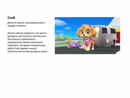 Ищи скай
