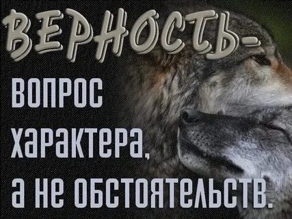 Верность афоризмы