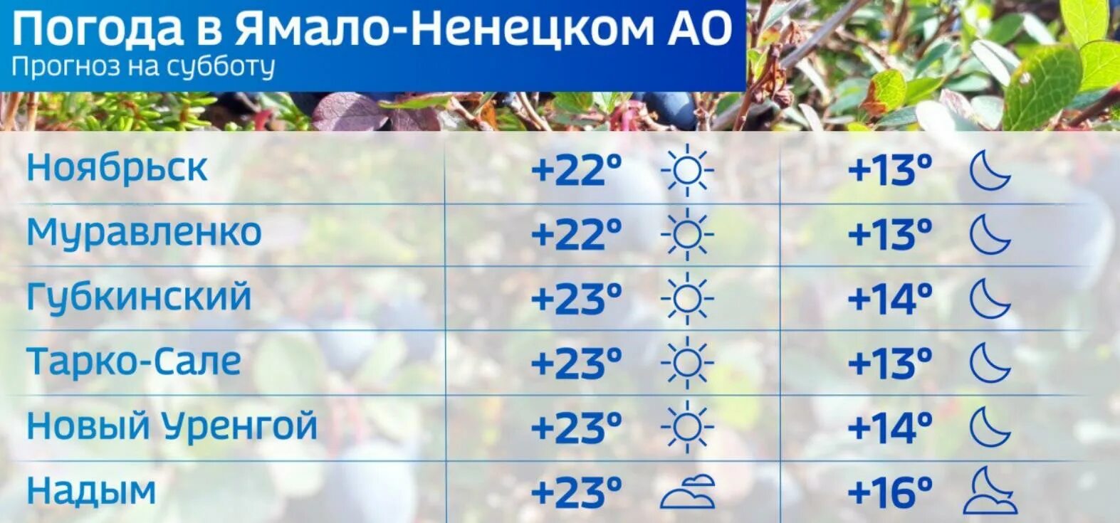 Погода в Салехарде сейчас. Погодные условия. Погода осенью. Погода в Салехарде на неделю. На 15 суток погода