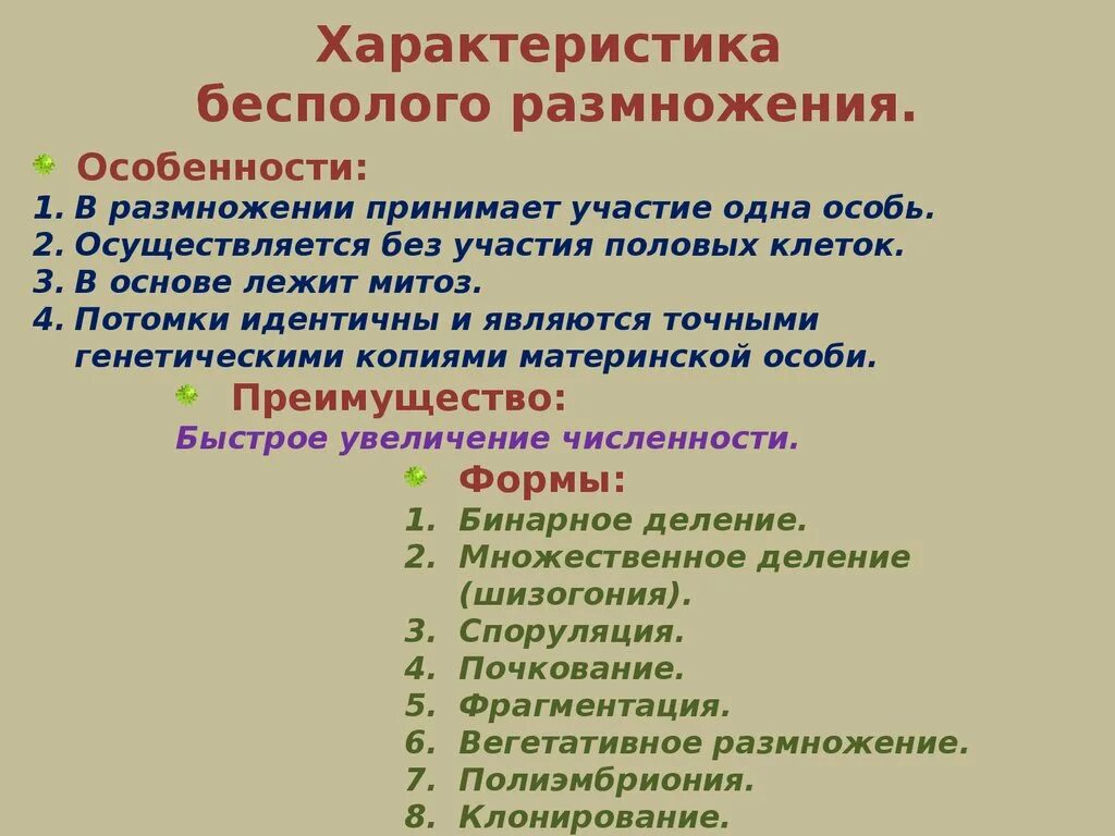 Характеристики бесполого размножения. К бесполому размножению относят. Бесполое характеристика. Потомки идентичны родителям Тип размножения.