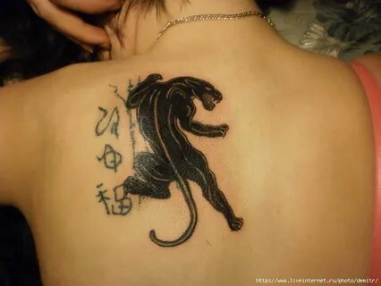 На спине у черного кота 2008