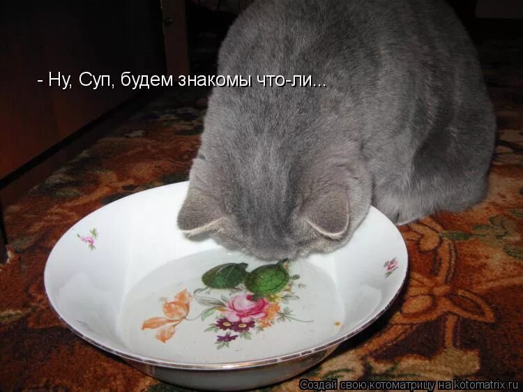 Мясо в супе было не доварено