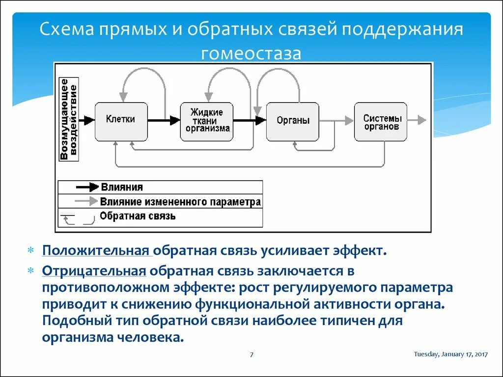 Сильно обратная связь. Положительная Обратная связь гомеостаза. Схема обратной связи. Принцип отрицательной обратной связи. Принципы обратной связи в живых системах..