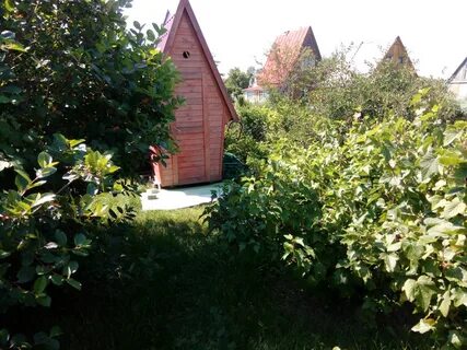Дача снт заря