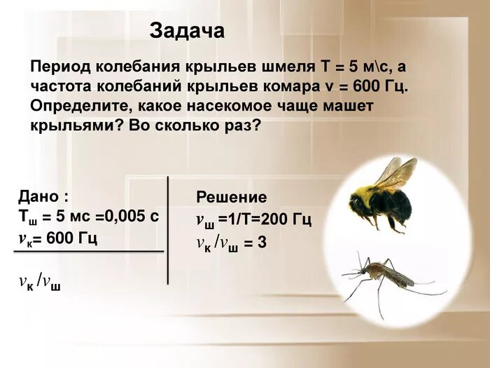 Скорость полета мухи. Частота колебаний крыльев комара. Частота колебаний крыльев насекомых. Период колебаний крыльев шмеля 5 МС.