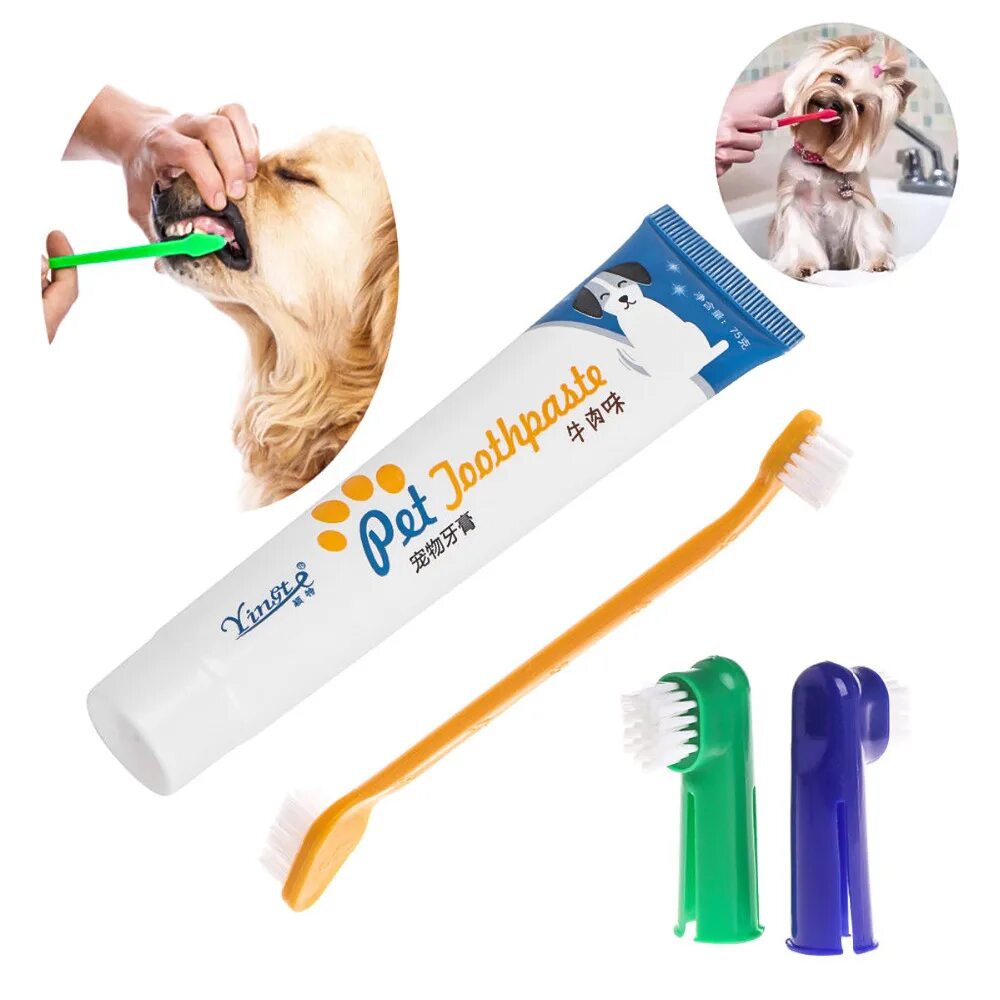 Паста купить щетка. Harzt Brush n clean Dental зубная паста для собак. Набор зубная паста и щетка Toothpaste Set. Зубная паста для собак Pet Toothpaste. Набор для ухода за зубами собак (паста,щётка, напалечники) MPETS 10110799.