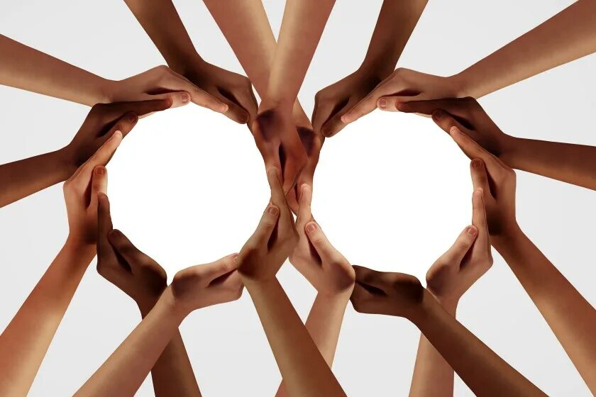 Unity in diversity. English connecting people. diversity + inclusivity. social cohesion and inclusivity:. furious barking theory of diversity.