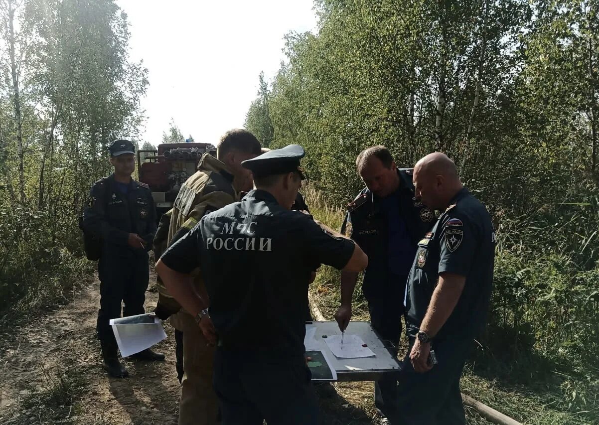 МЧС Ярославль пожар. Лесной пожар в Ярославле. Лесные пожары в Ярославской области. Рыбинское лесничество.