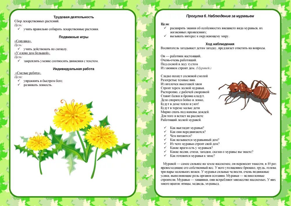 Игры по окружающему миру младшая группа. Наблюдения в подготовительной группе. Насекомые подготовительная группа. Наблюдения в природе летом. Картотека прогулок лето 2 младшая группа.