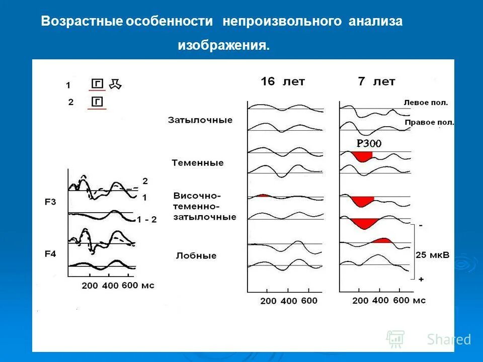 Особенности пищеварения в полости рта. Возрастные особенности губ. Возрастные особенности губ. Возрастные особенности губ. Возрастные особенности губ.