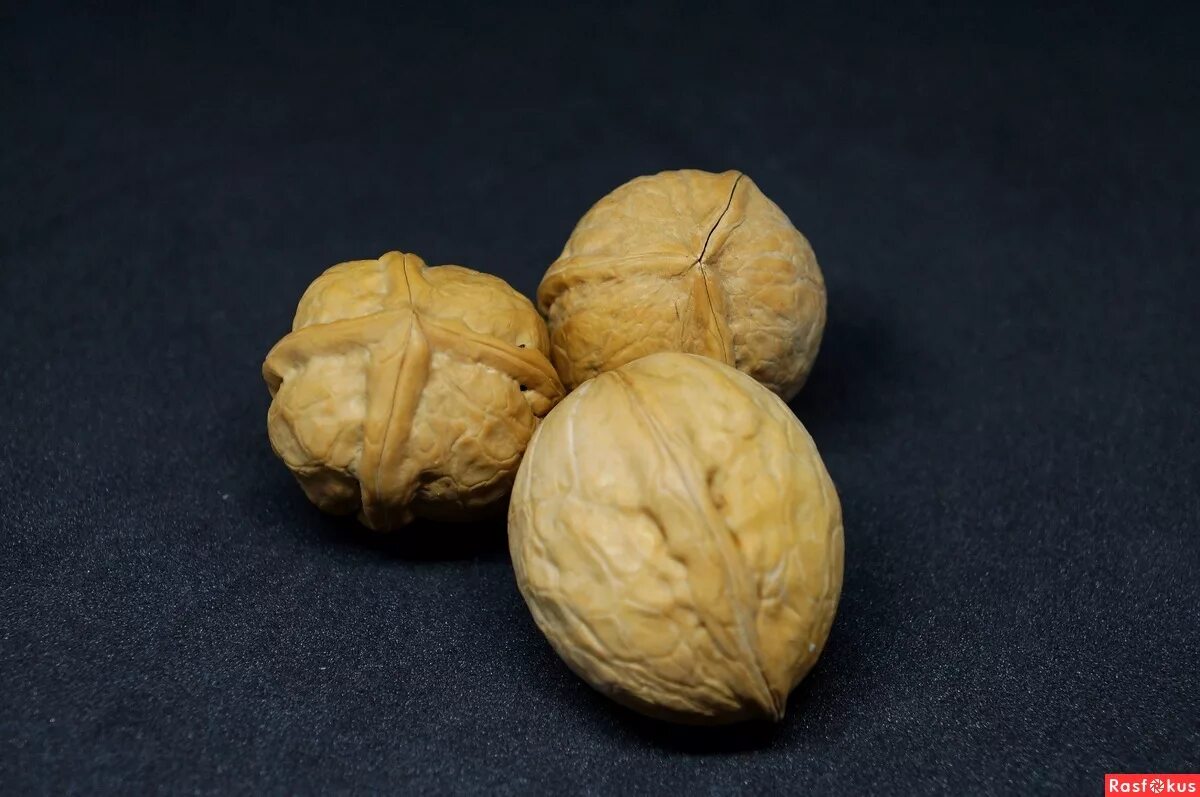 орех дерево. орехи для дошкольников. орехи неочищенные. 3 грецкий орех. орех грецкий.