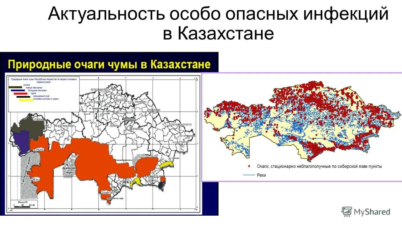 Особо опасные возбудители