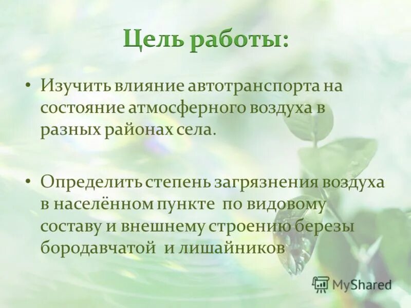 китайские учёные изучали влияние видового состава. факторы влияющие на состав фитоценоза. фитоценозом определяется структура. растительные сообщества фитоценозы. пустыня гоби гаммады.
